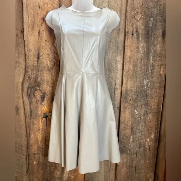 5/48 | Dresses | Faux Leather Skater Dress In Taupe Size 6 | Poshmark